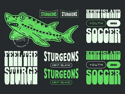 Sturgeons Asset Block branding design graphic design icon illustration logo retro soccer sports team vintage