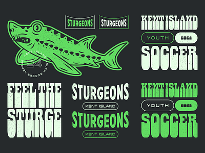 Sturgeons Asset Block branding design graphic design icon illustration logo retro soccer sports team vintage