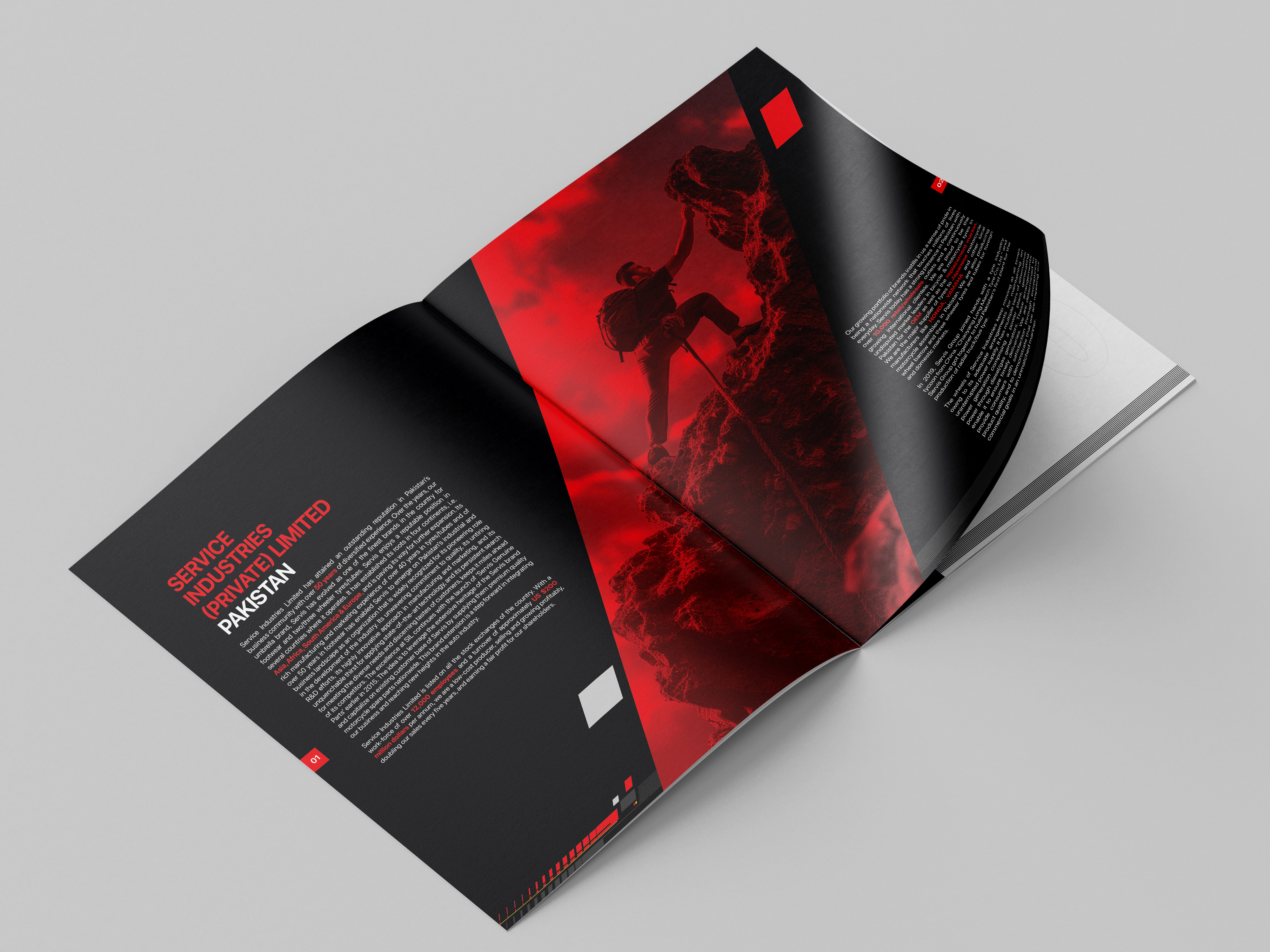 Example of Professional Catalogue / Brochure Design
