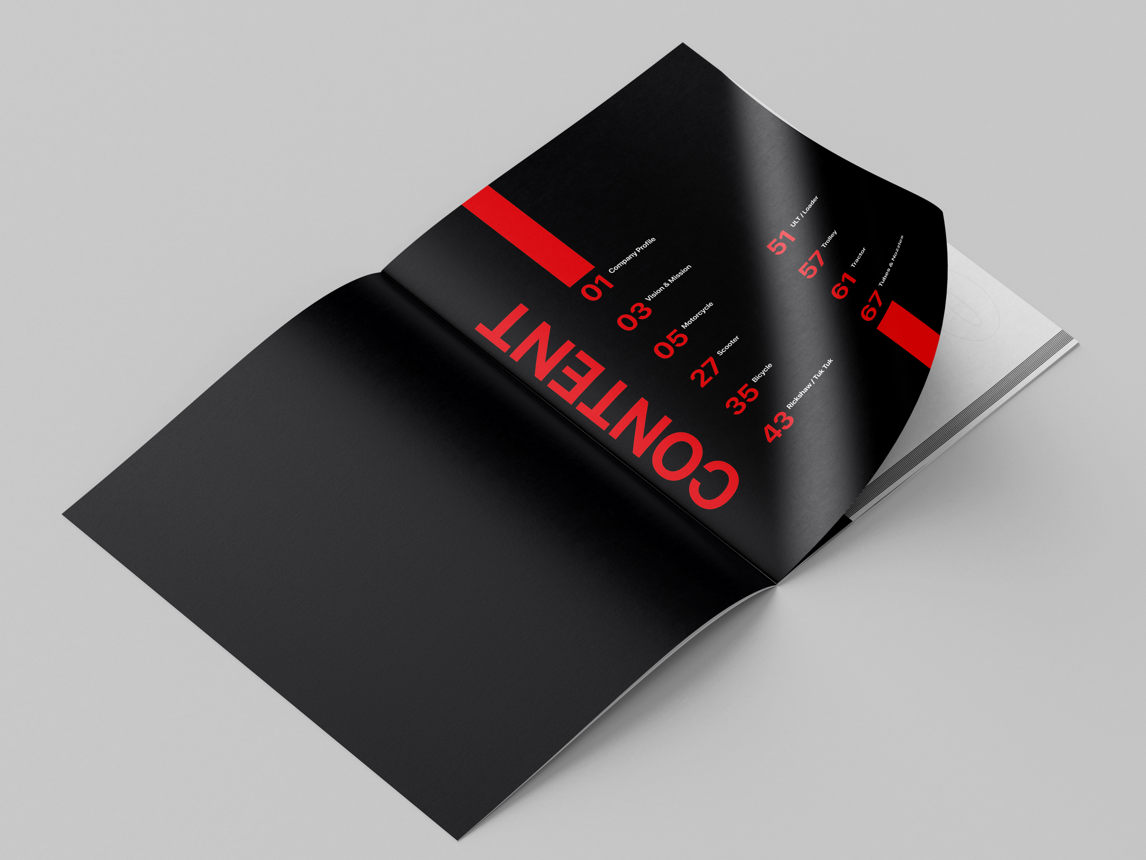 Example of Professional Catalogue / Brochure Design