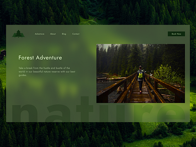 Forest Adventure design ui web web page