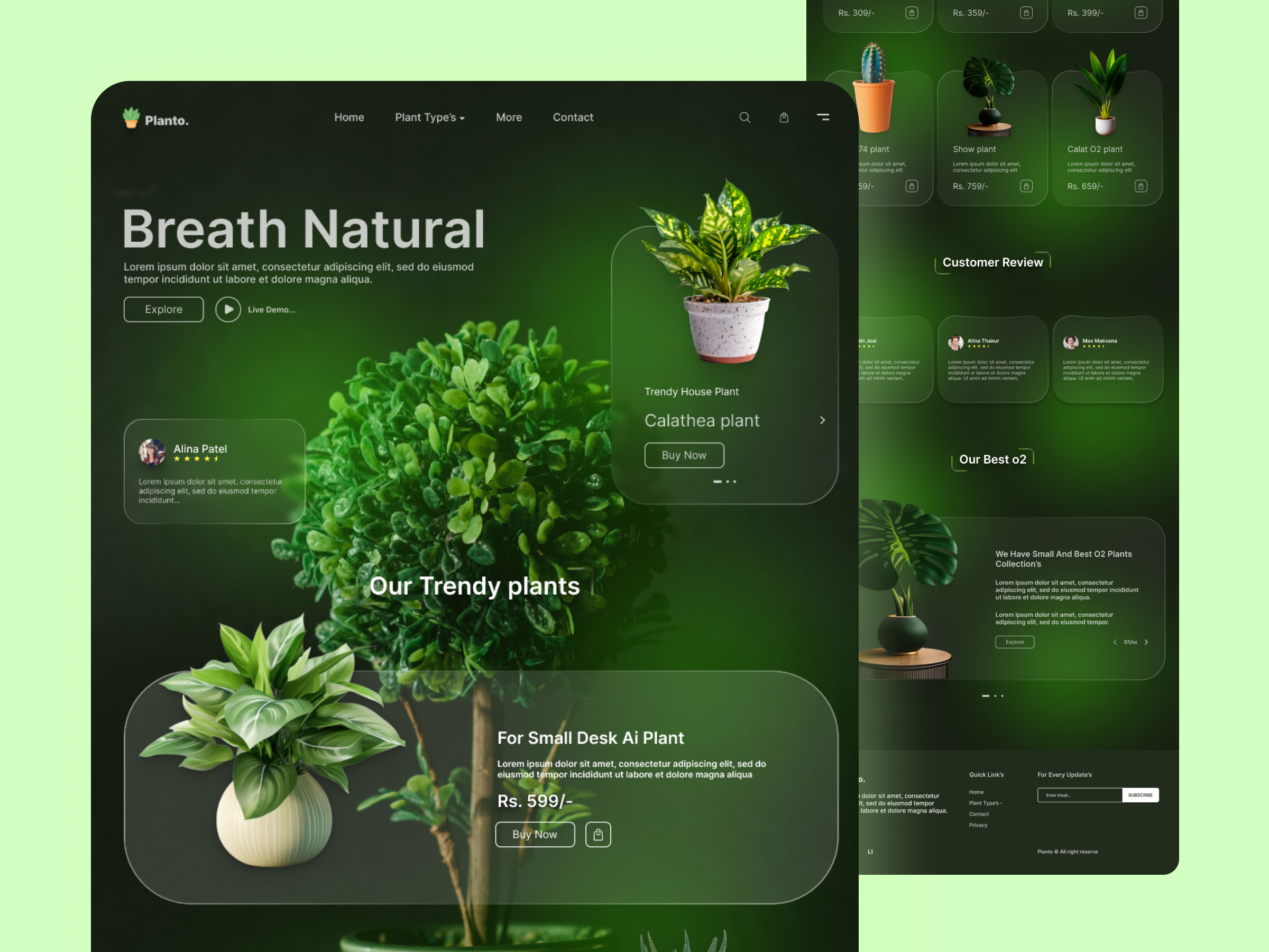 Example of Website Front End Development