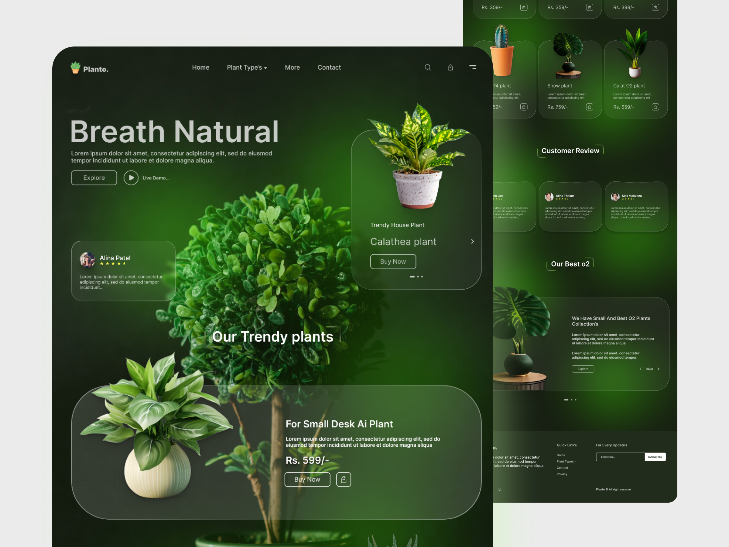 Example of Website Front End Development