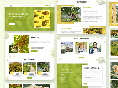 Kiwi Fruit Orchard branding designer figma kiwi fruit landing page new orchard trending ui uiux design visual design website website design