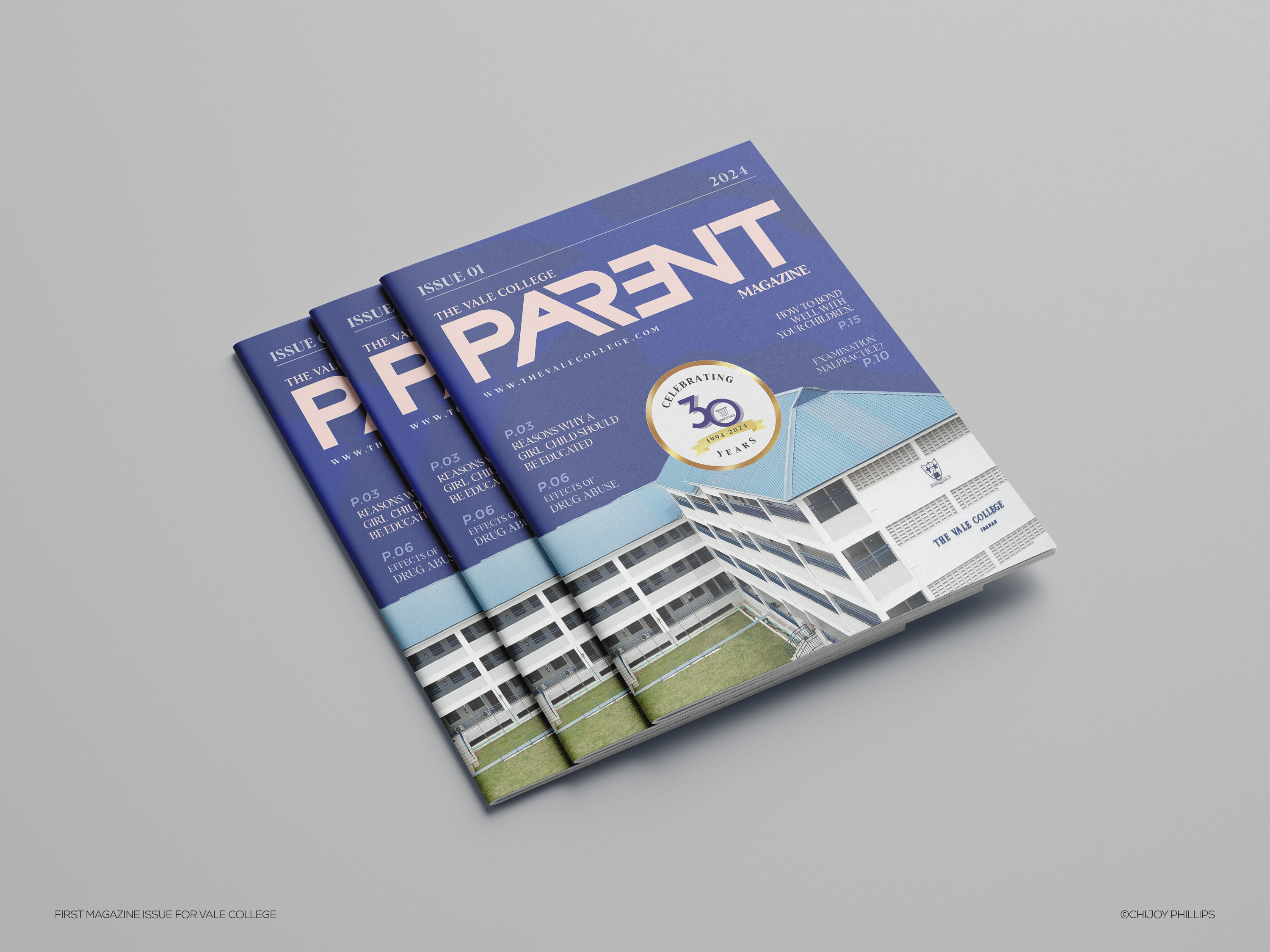 Example of Magazine Or Brochure Design