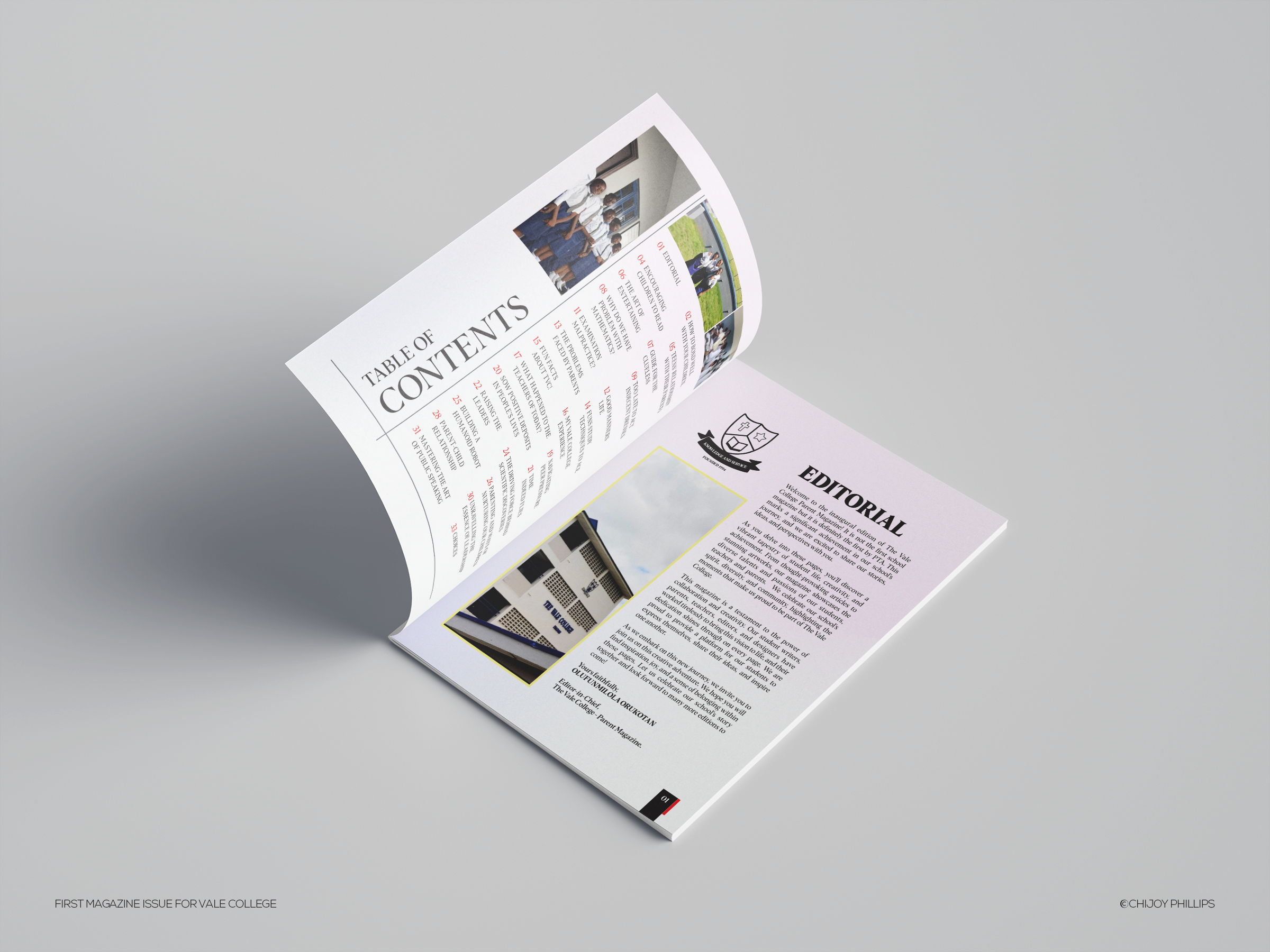 Example of Magazine Or Brochure Design