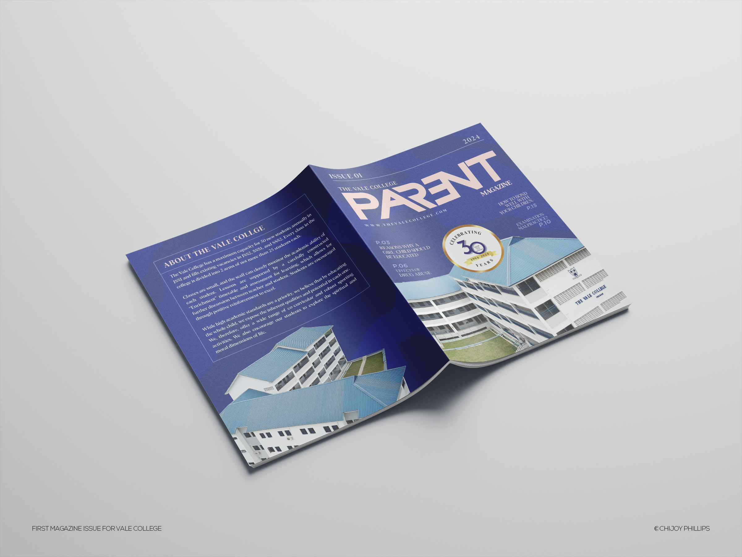 Example of Magazine Or Brochure Design