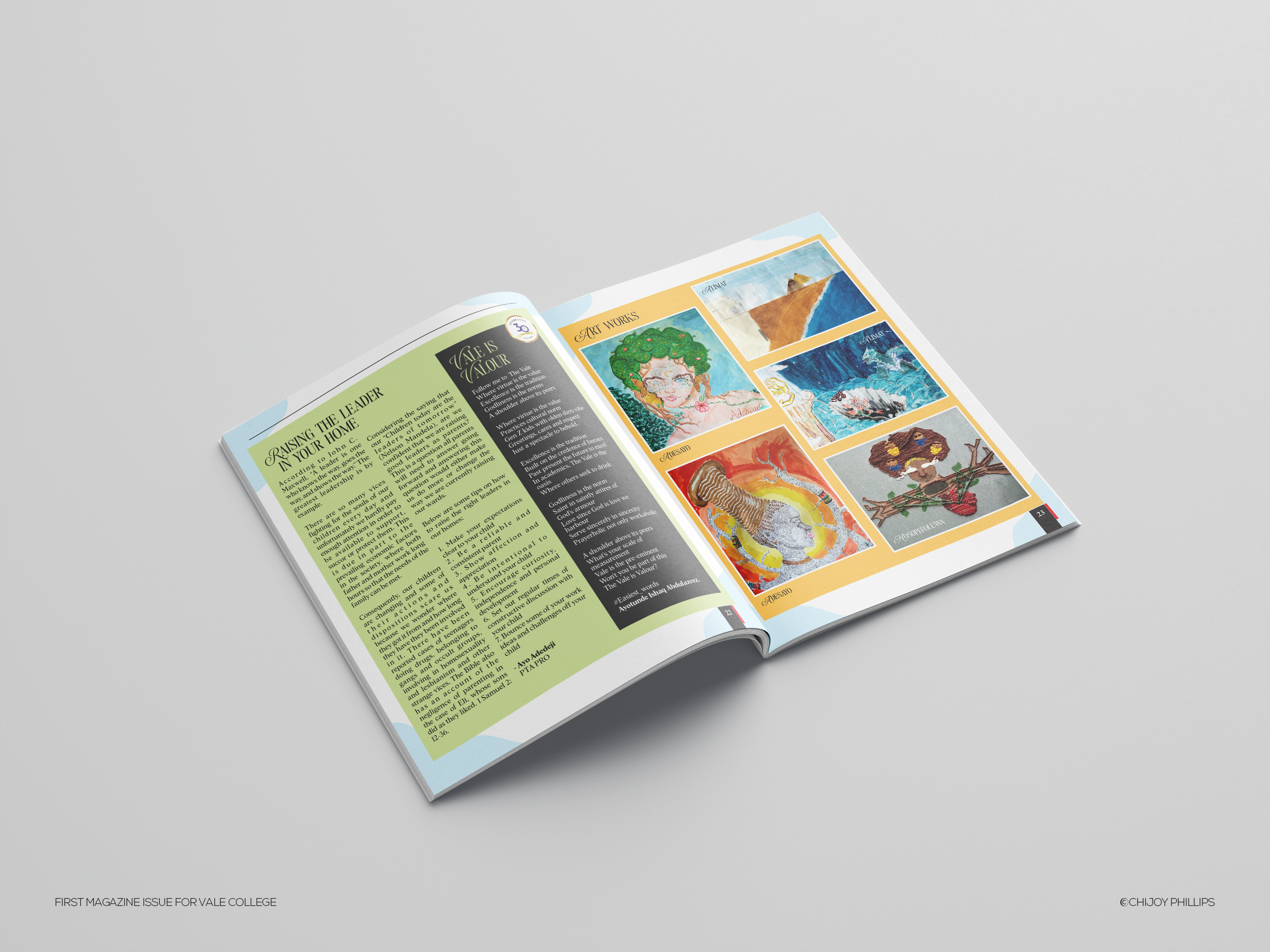 Example of Magazine Or Brochure Design