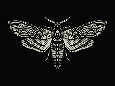 Moth adobe adobe illustrator cosmic creative death deathheadmoth entomology graphic design hawk moth illustration insect moth vector wings