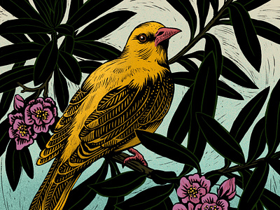 Birds 2d animals birds book digital folioart illustration joanna lisowiec lino cut nature printing wildlife