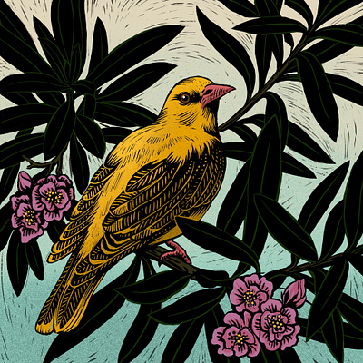 Birds 2d animals birds book digital folioart illustration joanna lisowiec lino cut nature printing wildlife