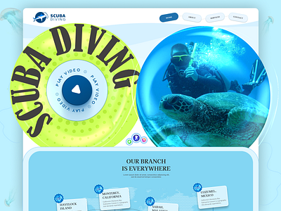 Web Portal - Scuba Diving adventure creative design diving graphic design modern scuba diving scuba diving booking sea animals ui ux water web portal website