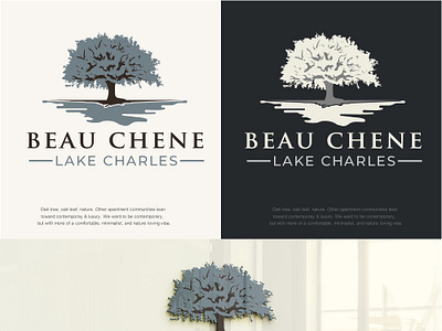 Lake 3d branding graphic design logo