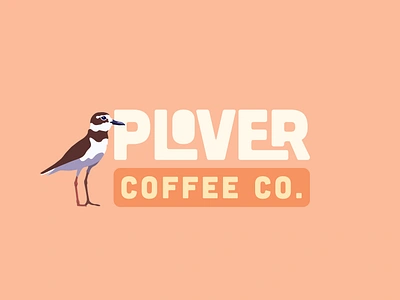 Plover Concept Branding artsy branding clever coffee coffee shop colorful design feminine fresh funky illustration modern orange