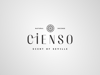 Cienso Branding branding logo