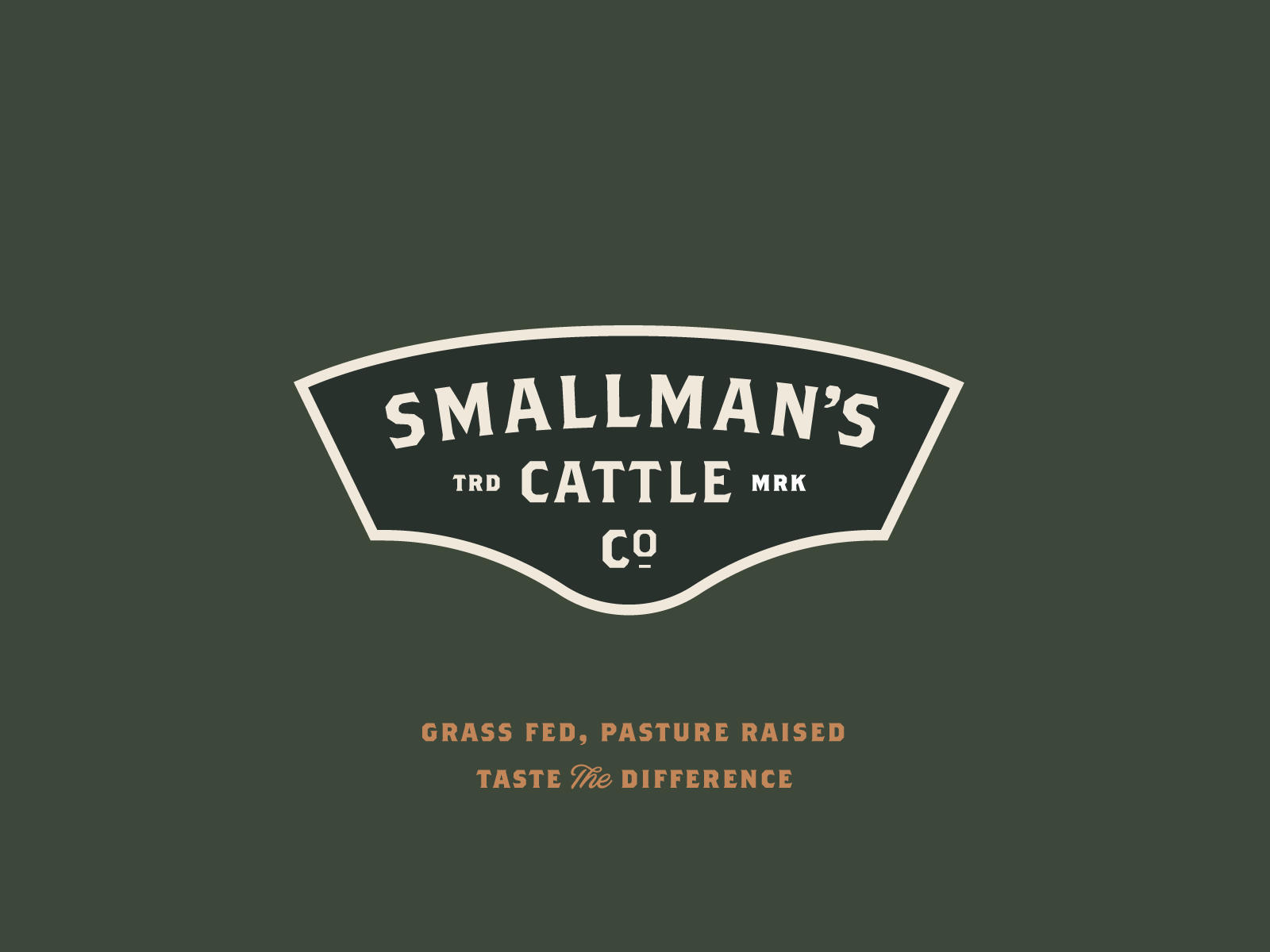 Example of Logo Design (3 Concepts)