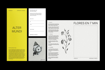 Alter Mundi art art exhibition art gallery branding curated curator design editorial exhibition design gallery graphic design mexico yellow