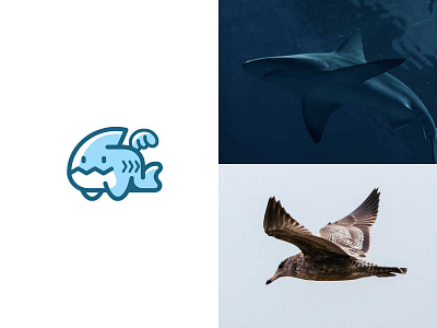 Cute flying shark ready-made logo for sale 3d anhdodes animation branding design graphic design identity illustration logo logo design logodesign motion graphics ui