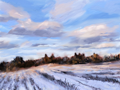 Field in Wintertime art digital art digital painting drawing field illustration painting winter