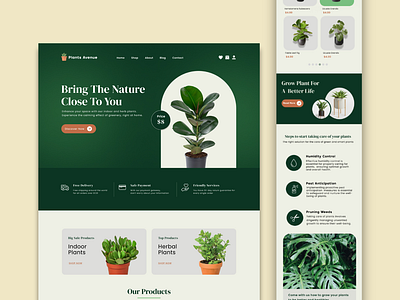 Plant Shop: E-commerce Landing Page design ecommerce figma plant shop ui ui ux ux web design web designer website