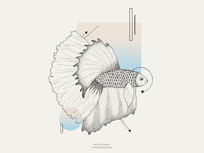 Betta Fish • Aquatic Serie blackdot dot dot illustration dot tattoo dot work dot work art dotwork drawing fish illustration fish tattoo illustration ink ink tattoo line tattoo line work tattoo tattoo ideas