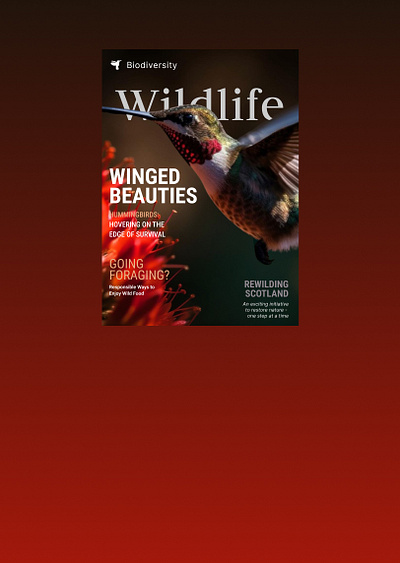 Wildlife Magazine Covers Design magazine cover ui ux