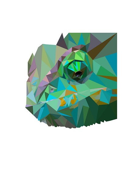 Low Poly art made using Adobe Illustrator adobe illustrator animation design graphic design illustration low poly art polyart