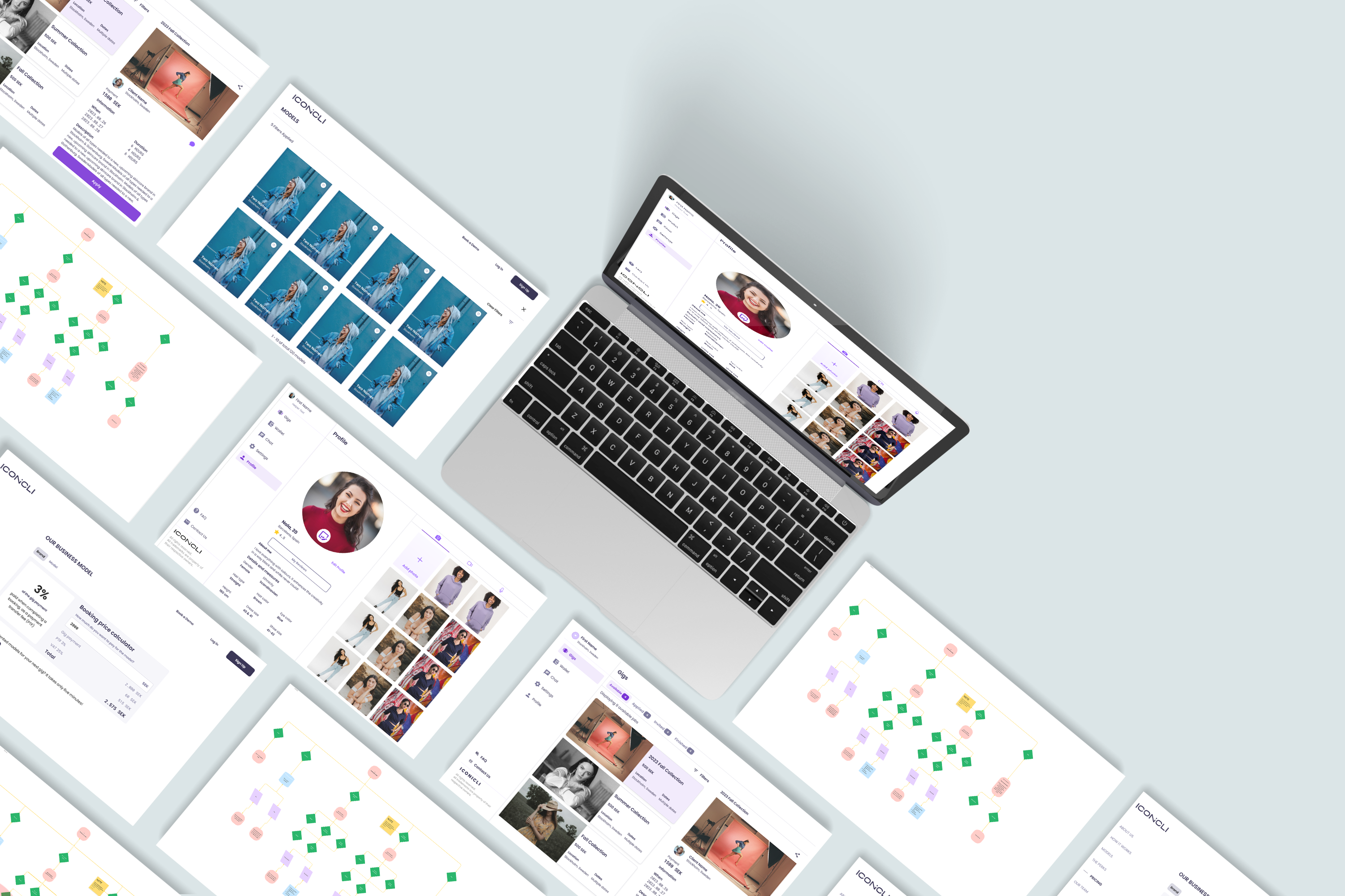 Example of Iconicli Web Design