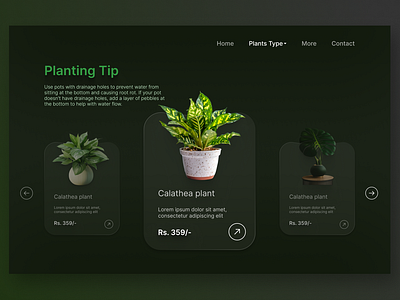 Indoor Plant Website UI Design darkui figmadesign indorplantapp plantui plantwebsite uiux uiuxdesign webdesign