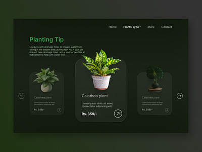 Indoor Plant Website UI Design darkui figmadesign indorplantapp plantui plantwebsite uiux uiuxdesign webdesign