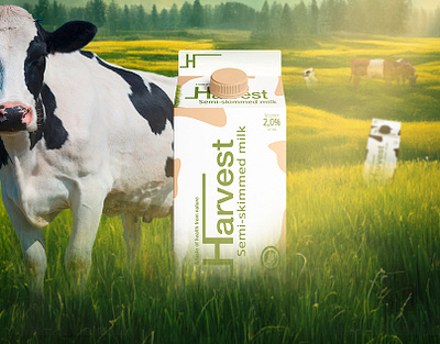 Harvest | Brand Identity branding food graphic design logo milk natural nature organic