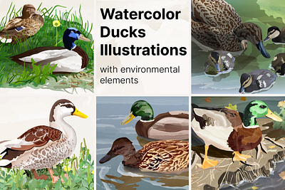 Watercolor ducks illustration 2d illustration adobe illustrator animals birds draw ducks pond print watercolor