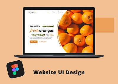 Fresh Orange Website Design app graphic design landing page design ui ui ux web design website design