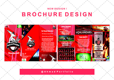 BROCHURE DESIGN branding brochure design graphic design