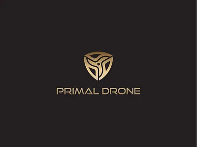 Drone Company Logo Design drone drone company drone company logo drone design drone logo drone logo design drone photography drone photography logo dynamic flat lettermark logo logo design minimal modern p p geometrical logo p logo symbolic