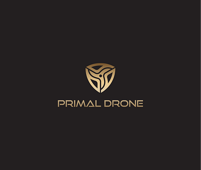 Drone Company Logo Design drone drone company drone company logo drone design drone logo drone logo design drone photography drone photography logo dynamic flat lettermark logo logo design minimal modern p p geometrical logo p logo symbolic