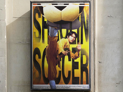 Shaolin Soccer Poster film graphic design illusration poster