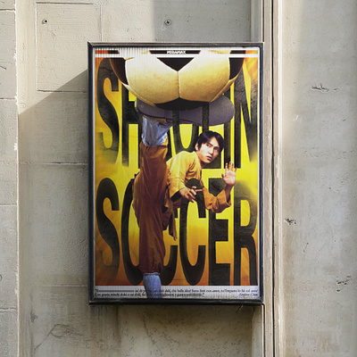 Shaolin Soccer Poster film graphic design illusration poster