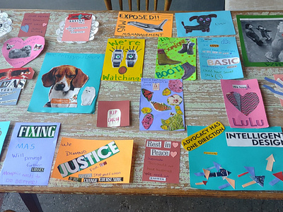 Cards for LuLu activism advocacy artivism collage community dog mixed media social practice