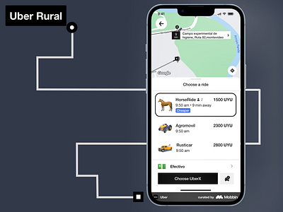 Rural Uber servicedesignclub uicamp uicampw24