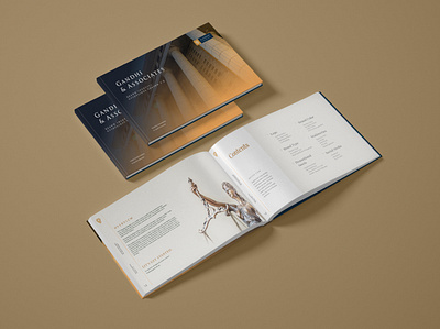 Law Firm Brand Guidelines brandguidelines branding corporate design graphic design guidelines logo visual guide visual identity