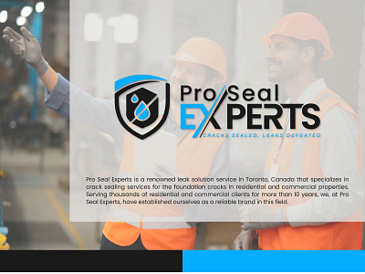 Pro Seal Experts Logo Design brandidentity branding con crack sealing logo design graphic design logmaker logo