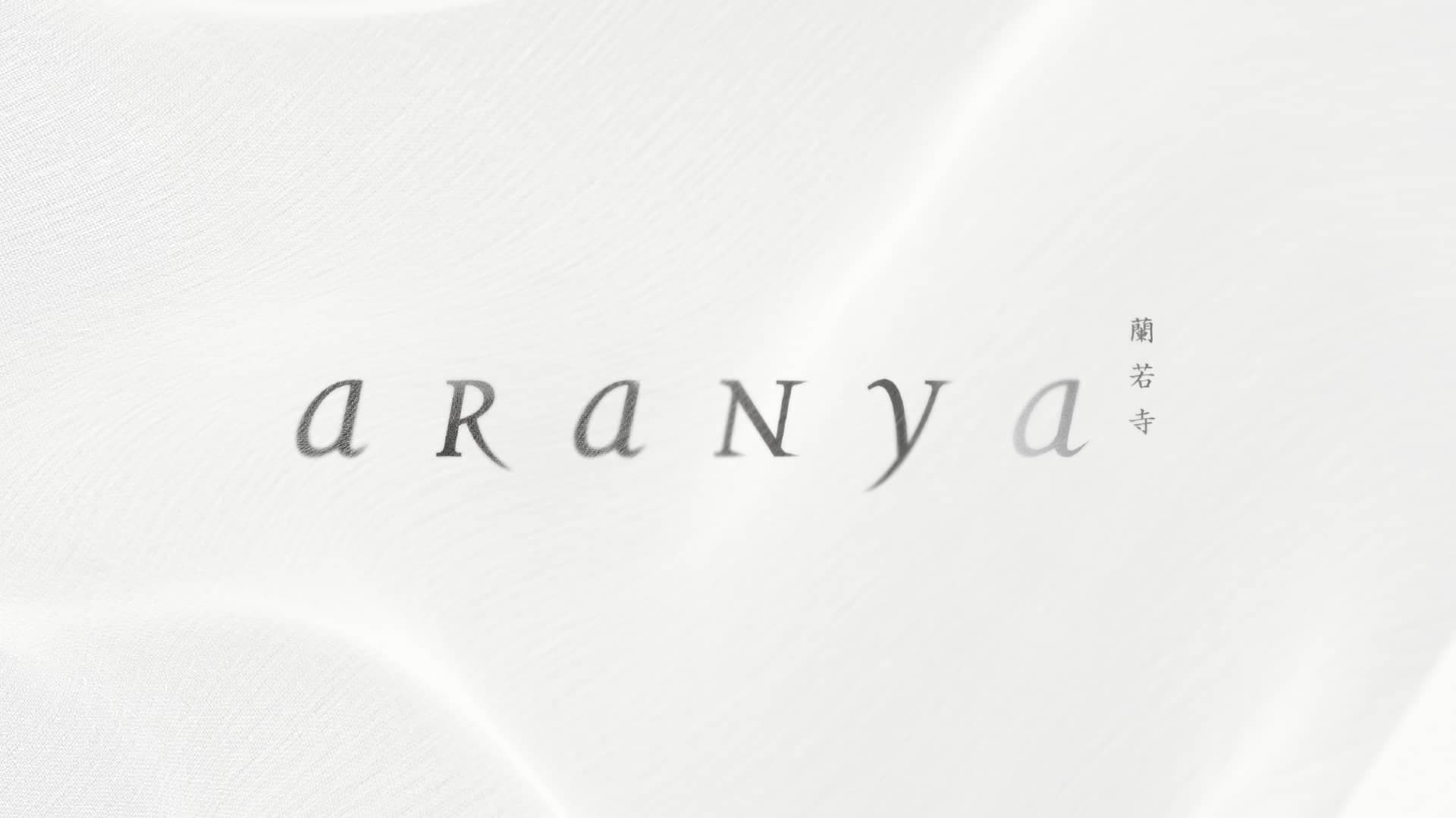Aranya | Asian Fusion Patisserie Branding brand guideline branding patisserie restaurant branding