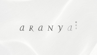 Aranya | Asian Fusion Patisserie Branding brand guideline branding patisserie restaurant branding