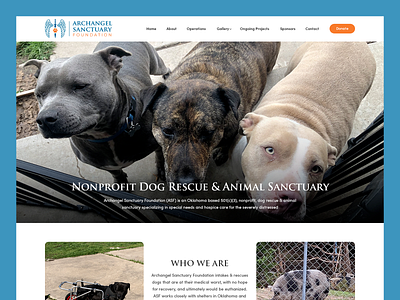 Archangel Sanctuary Foundation // Web Design animal dog donate donation non profit pet rescue sanctuary volunteer web design