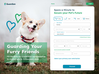 Pet Insurance Design branding ui