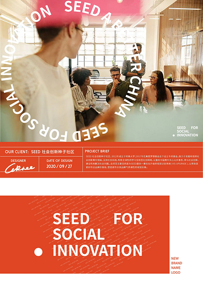 SEED Social Innovation Club - VIS Brand Identity Design branding design graphic design identity logo vis