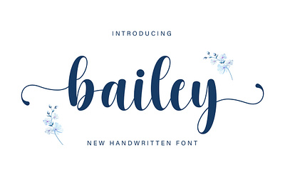 Bailey Script Font crafting font cute font handwritten monoline script script font