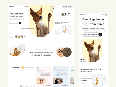 PAW CARE - WEB DESIGN app branding design logo ui ux