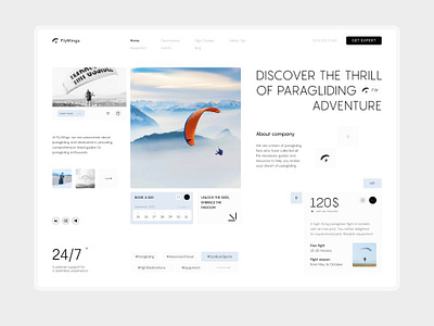 FlyWings - WEB DESIGN app design logo mobile app ui ux